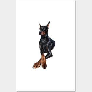 Doberman Dog Dobermann Pinscher Posters and Art